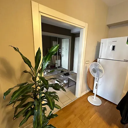 Apartment Koza Beko